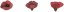 Nažehlovačka Vlčí mak