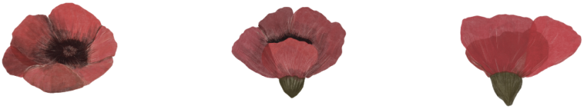 Nažehlovačka Vlčí mak