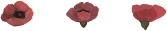 Nažehlovačka Vlčí mak
