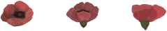 Nažehlovačka Vlčí mak